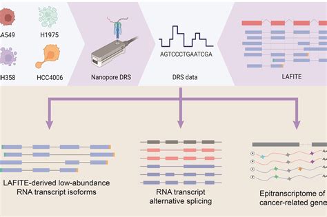 CUHK scholar pioneers new method to accurately identify “low-abundance ...