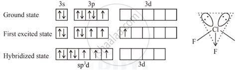 Clf3 Hybridization