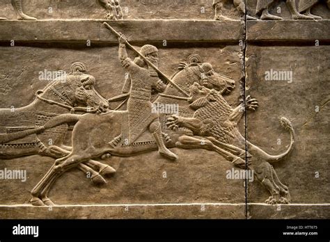 Assyrian relief sculpture panel of Ashurnasirpal lion hunting. From ...