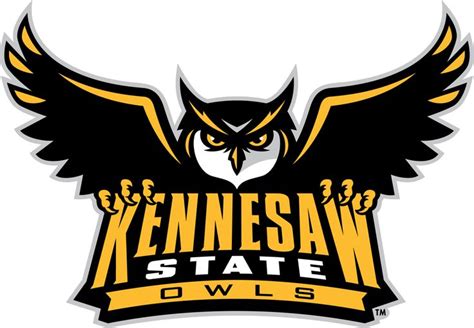 Kennesaw State Owls Primary Logo | Kennesaw state, Kennesaw state university, Kennesaw