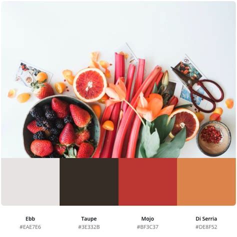 Canva Color Palette Inspiration for your brand and logo