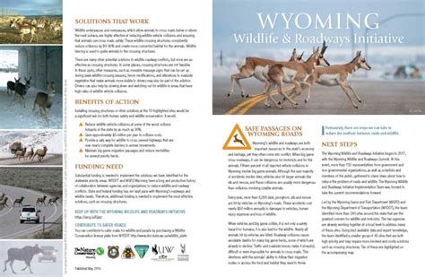 Wyoming Wildlife and Roadways Initiative – Wyoming Wildlife Federation