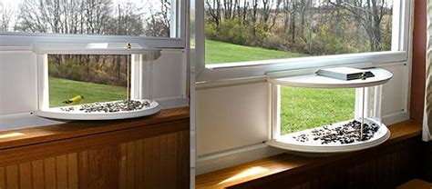 This Unique Indoor Bird Feeder Installs Right In Your Window Sill