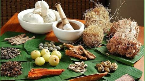 Ayurveda Day: ‘Har Din Har Ghar Ayurveda’ is this year’s theme | Latest ...