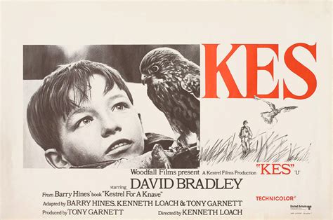 Kes 1969 Belgian Poster - Posteritati Movie Poster Gallery