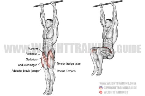 Hanging leg raise exercise instructions and video | Weight Training Guide