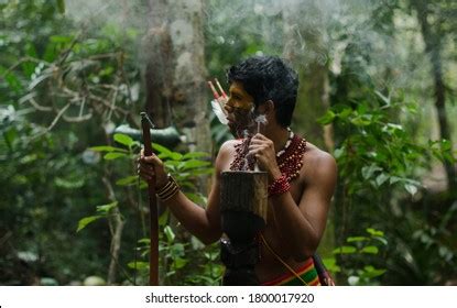 1,363 Brazilian Indigenous Art Images, Stock Photos & Vectors ...