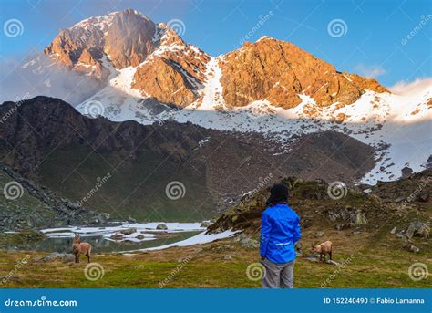 Woman Watching Sunrise Over the Alps in Valle D`Aosta, Italy Stock Photo - Image of exploration ...