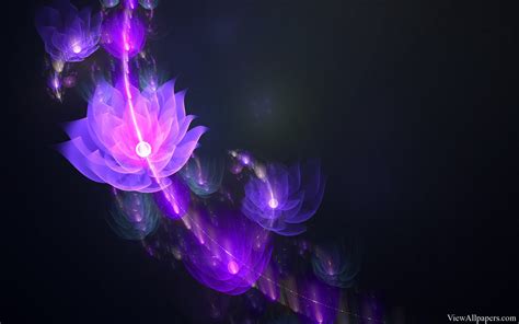 Free download Flower Light On Black Background Black Background HD Wallpapers [1920x1200] for ...