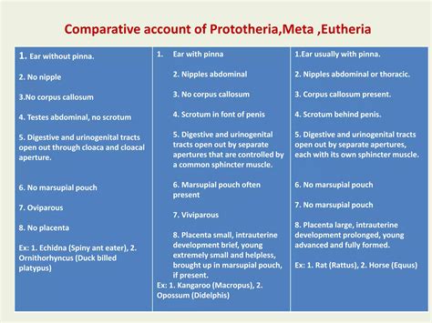 Comparative pro,mete,& eutheria, features of prototheria to eutheria,& affinity to pro,meta ...