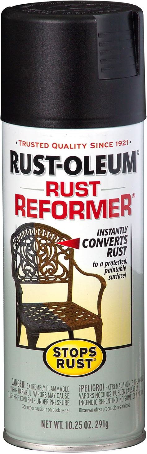 Advanced Protective Products Rust Destroyer Oil Base Red Primer Spray, 13-Ounce Aerosol - House ...