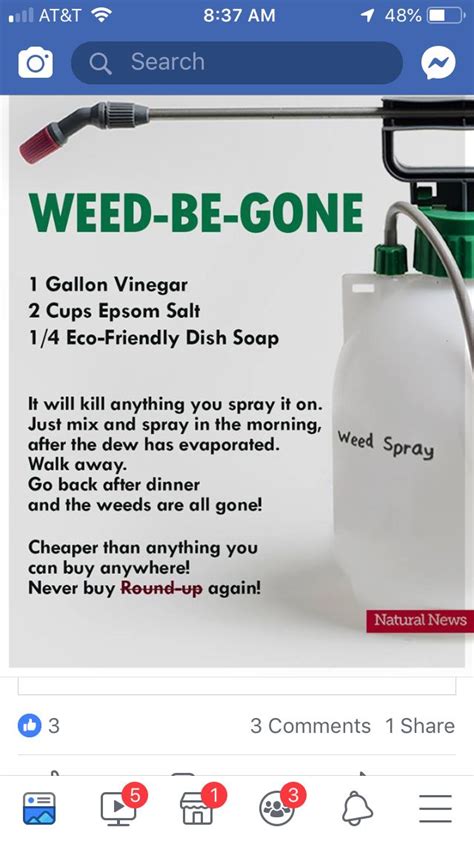 Weed be gone | Homemade remedies, Spray, Dish soap