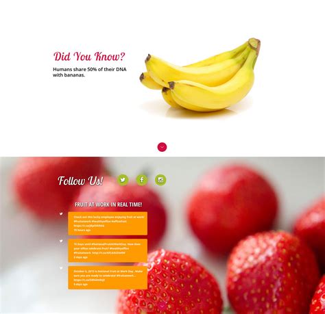 Fruit Guys National Fruit at Work Day | MIGHTYminnow WordPress Web Design & Development in Oakland