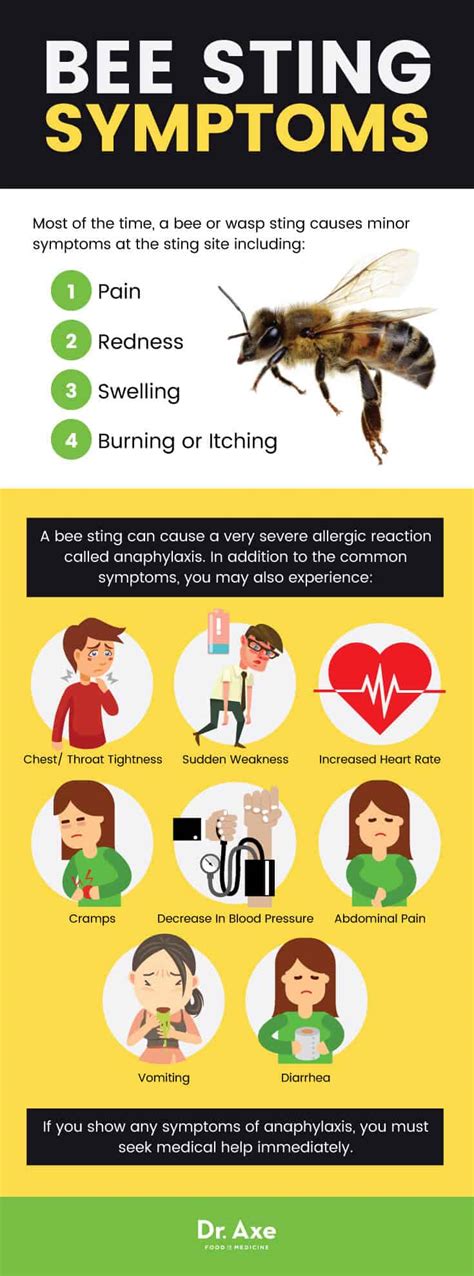 7 Home Remedies To Treat Bee Stings : Conscious Life News