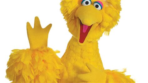 Big Bird's Twitter account just dropped the most spectacular first Tweet of all time Big Yellow ...