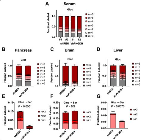 PHGDH knockdown impairs serine synthesis in vivo. a Fraction serum ...