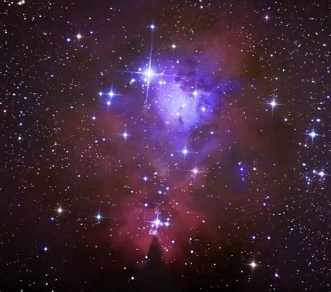 Star Gazing: Cone Nebula