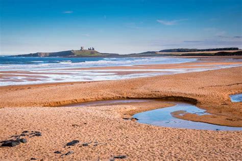 The Best Dog Friendly Beaches in Northumberland