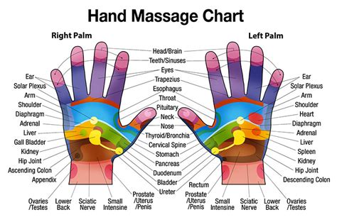 Free Downloadable Hand Massage Chart for Self Healing – HerbalShop