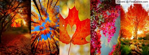 autumn facebook cover photos - Simone Randall