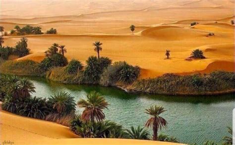 Empty Quarter Desert - let's explore Egypt