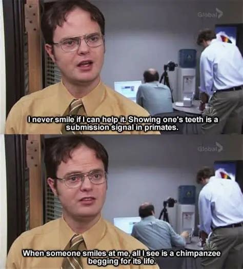 142+ EXCLUSIVE Dwight Schrute Quotes That Get You - BayArt