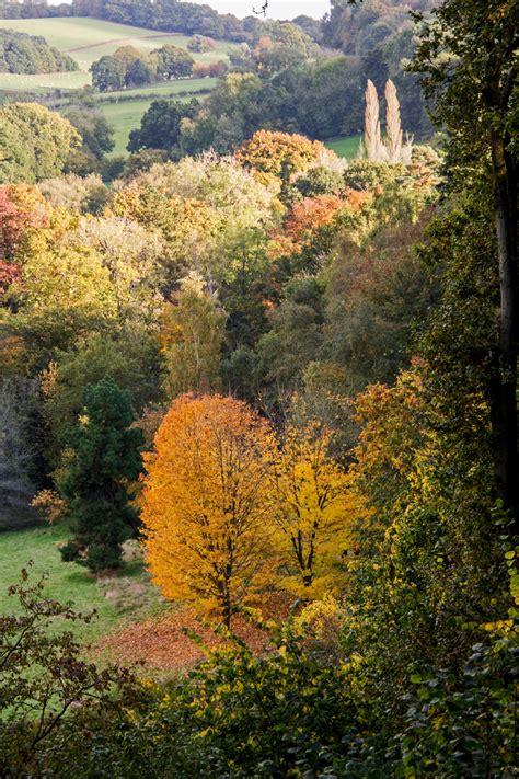 Winkworth Arboretum in October 2016 | Ludshott Photographic Club