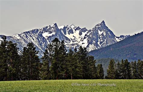 Bitterroot Mountains outside of Darby, MT | Montana vacation, Hamilton montana, Big sky country