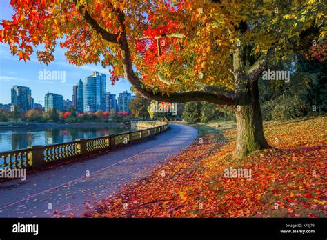 Fall colour, Stanley Park seawall, Vancouver, British Columbia Stock ...