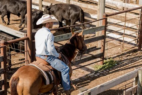 Oklahoma National Stockyards | Oklahoma City, OK