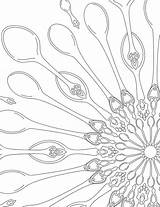 Spoon Coloring Page At GetColoringscom  Free Printable Colorings sketch template