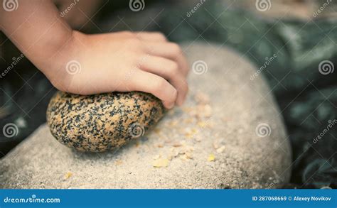 Little Kid Makes Bread Flour in a Primitive Historic Way Stock Image ...