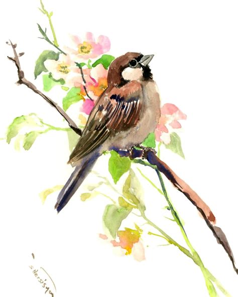 z Pngtree_tl | Sparrow art, Watercolor bird, Bird art