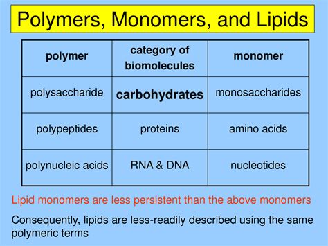 The Structure and Function of Macromolecules: Carbohydrates | Biology ...