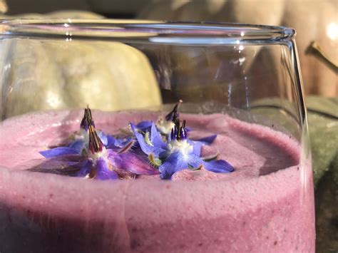 borage flower | Blueberries smoothie, Borage, Blueberry