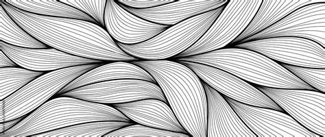 Black and white lines pattern background. Luxury Line arts wallpaper ...