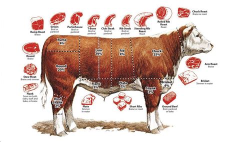 Porterhouse Steak Cut Diagram