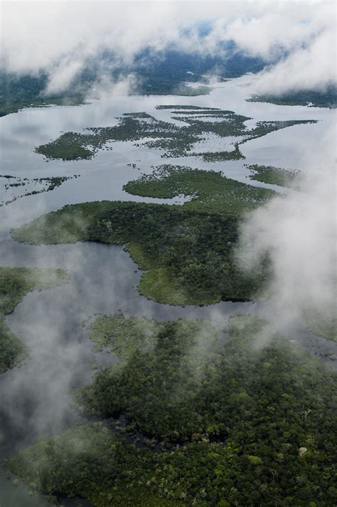 Aerial view of the Amazon Rainforest | Aerial view of the Am… | Flickr