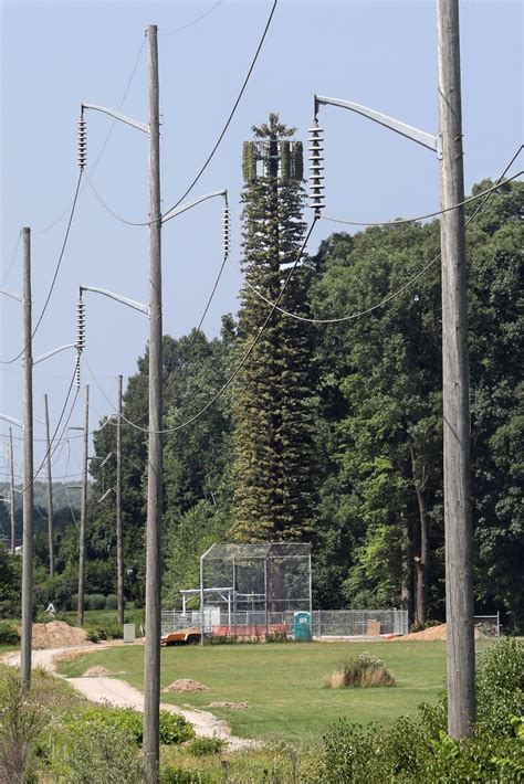 Ohio cell towers camouflaged to blend in with surroundings | The Seattle Times