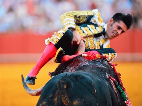 Matador 'seriously hurt' after stabbing bull in vicious fight | The ...