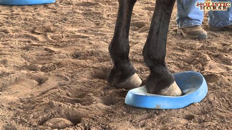 Help for Recovery from Laminitis - YouTube