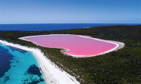 Lago Hillier, un toque rosa en Australia | Turismo aventura, Playas turisticas, Lago retba