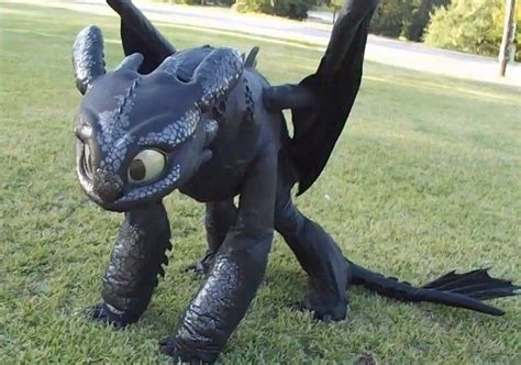 DIY Toothless costume idea | Toothless costume, Dragon costume, Family ...