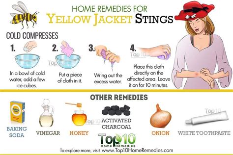 Home Remedies for Yellow Jacket Stings | Top 10 Home Remedies | Yellow ...