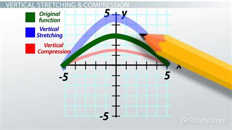 Stretching & Compressing a Function - Video & Lesson Transcript | Study.com