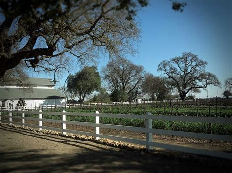 Oak Farm Vineyards | WineMaps