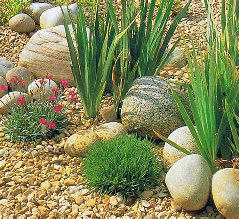 Gravel garden | Rockery garden, Pebble garden, Rock garden