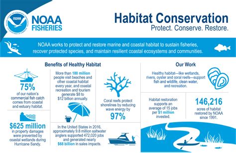 Infographic: Habitat Conservation | NOAA Fisheries