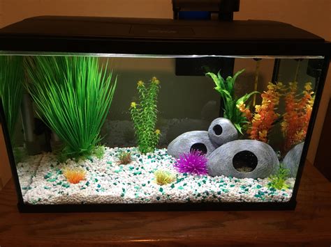 Just set up my first ever fish tank, excited to get some swimmers in there next week! : r/Aquariums