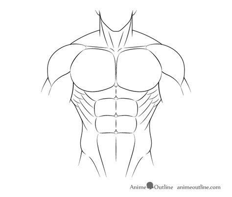 How to Draw Anime Muscular Male Body Step by Step - AnimeOutline